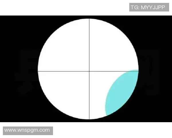 网球比赛规则详解与技巧解析 从发球到赛点的全方位指南